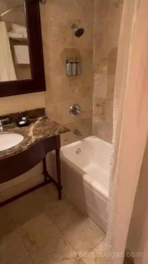 One Bedroom King Suite picture #24