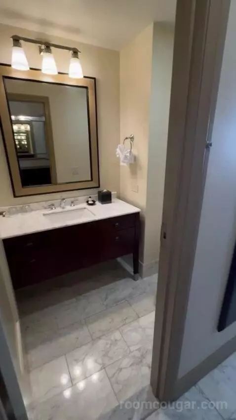 Bridal Suite bathroom picture #2