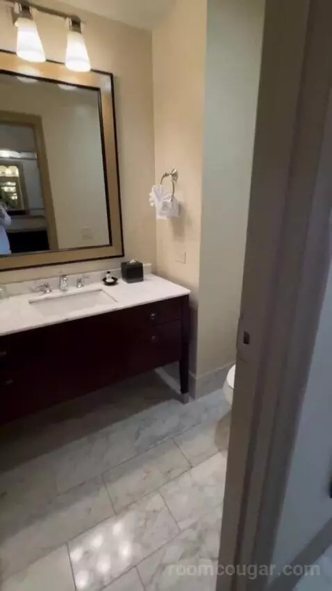 Bridal Suite bathroom picture #3