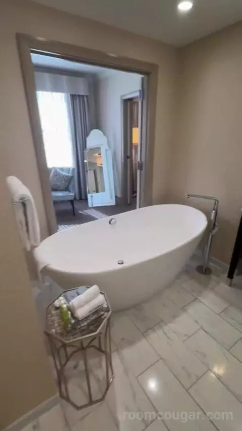 Bridal Suite bathroom picture #10