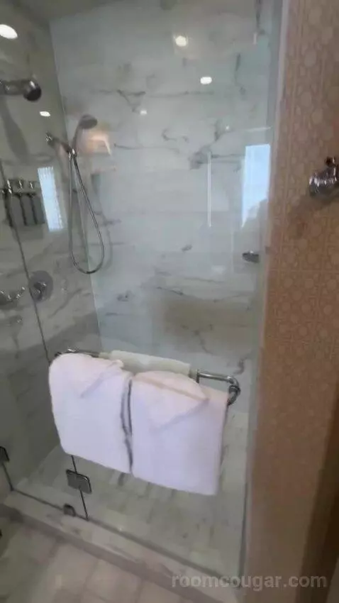 Bridal Suite bathroom picture #11