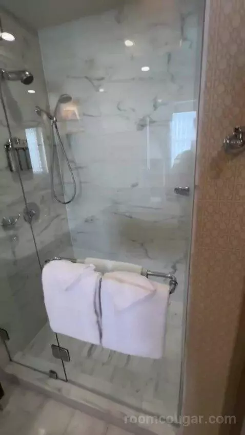 Bridal Suite bathroom picture #12