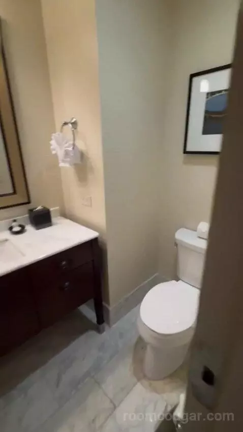 Bridal Suite bathroom picture #4