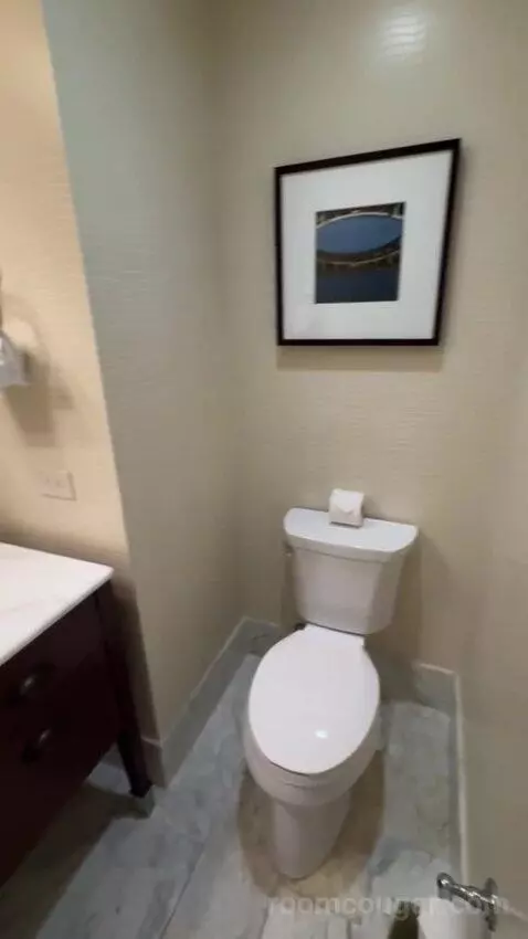 Bridal Suite bathroom picture #5