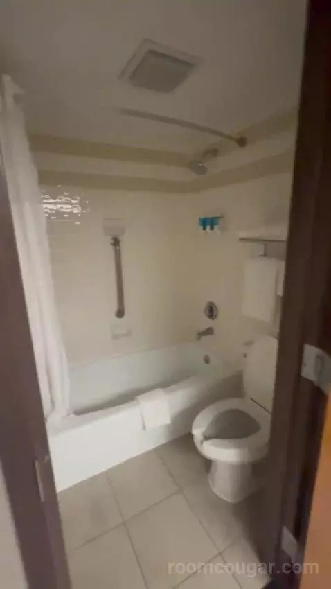 Deluxe King with Kitchenette bathroom picture #10