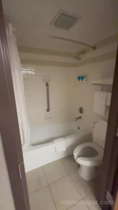 Deluxe King with Kitchenette bathroom picture #11