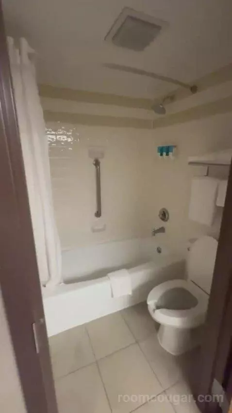 Deluxe King with Kitchenette bathroom picture #12