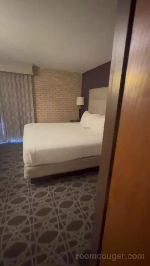 Deluxe King with Kitchenette bed picture #1