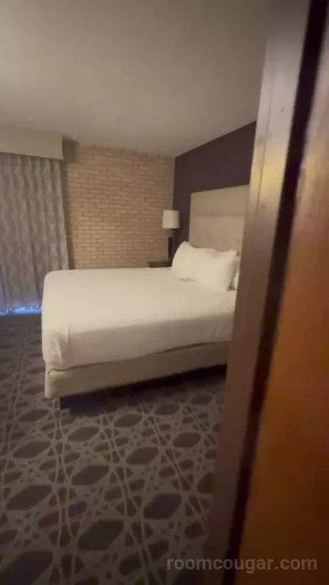 Deluxe King with Kitchenette bed picture #2