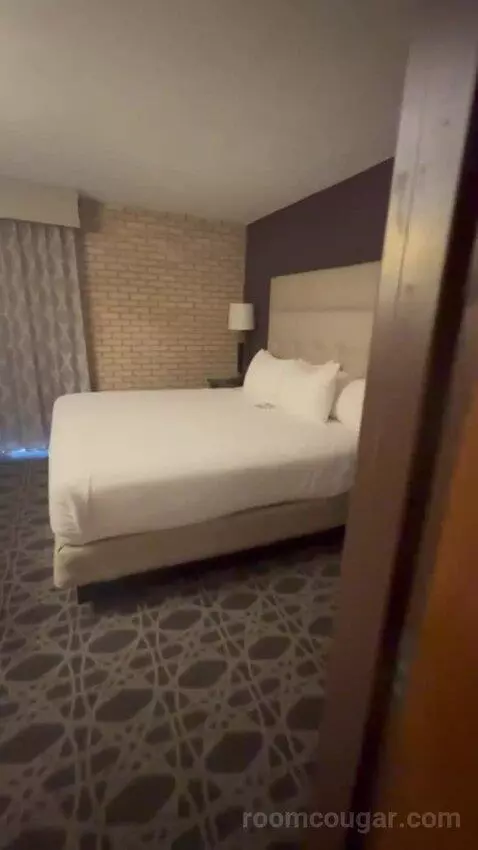 Deluxe King with Kitchenette bed picture #3