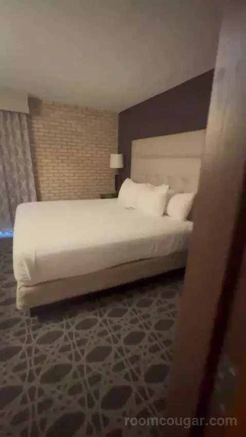 Deluxe King with Kitchenette bed picture #4