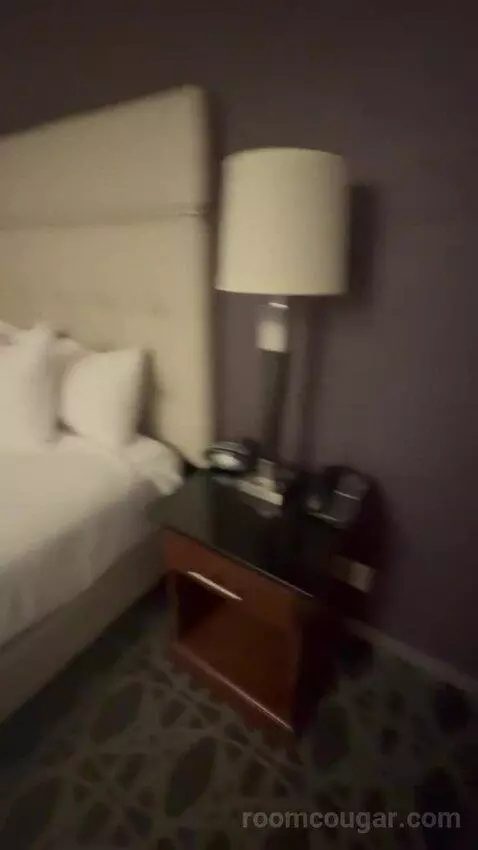 Deluxe King with Kitchenette bed picture #5