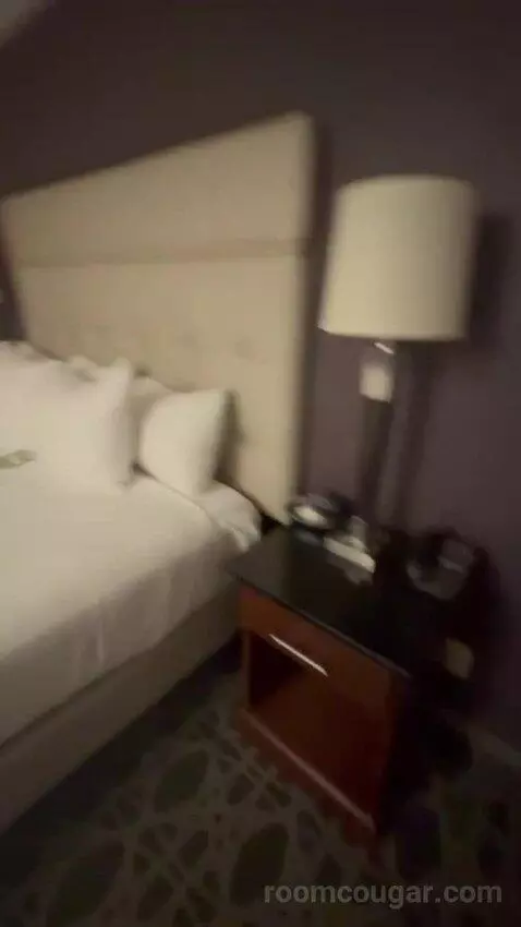 Deluxe King with Kitchenette bed picture #6