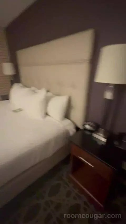 Deluxe King with Kitchenette bed picture #7
