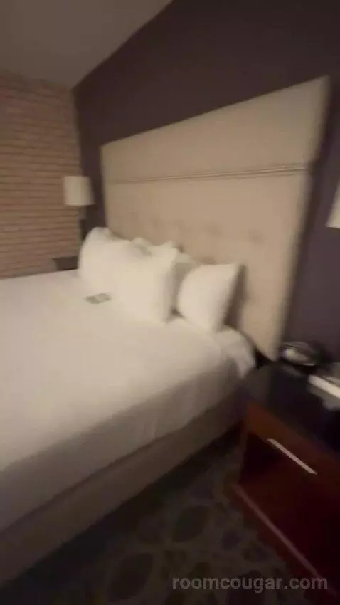 Deluxe King with Kitchenette bed picture #8