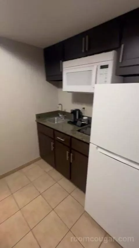 Deluxe King with Kitchenette bathroom picture #1