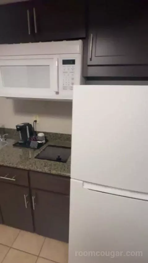 Deluxe King with Kitchenette bathroom picture #4