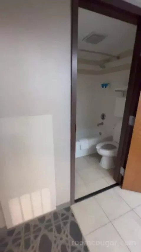 Deluxe King with Kitchenette bathroom picture #8
