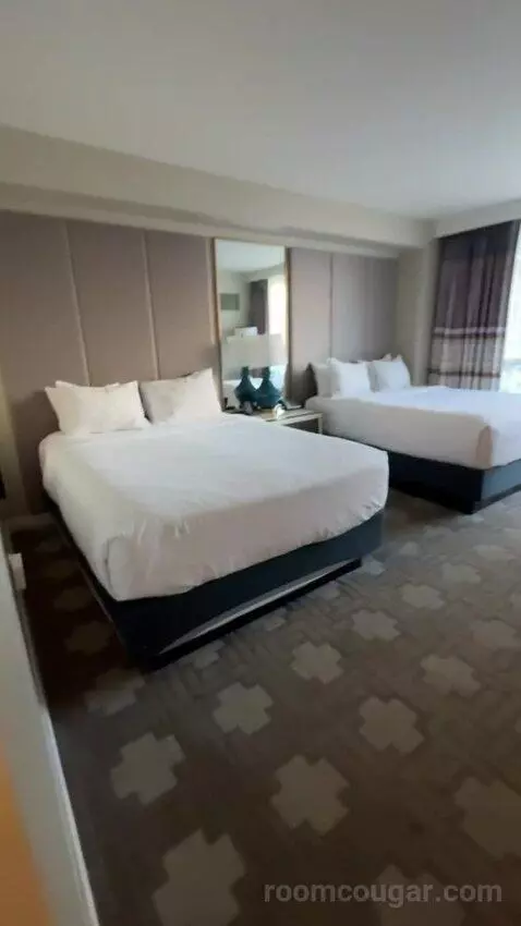 Julius Deluxe Room 2 Queens bed picture #1