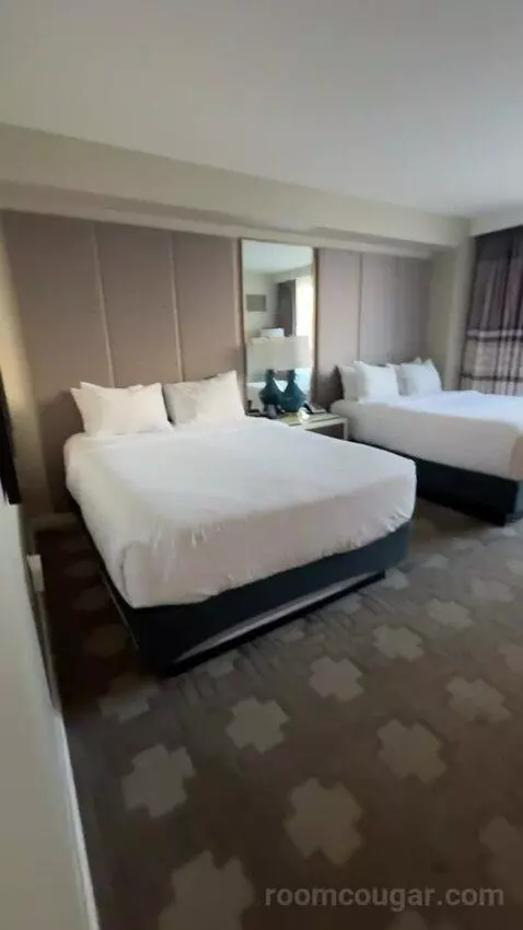 Julius Deluxe Room 2 Queens bed picture #2