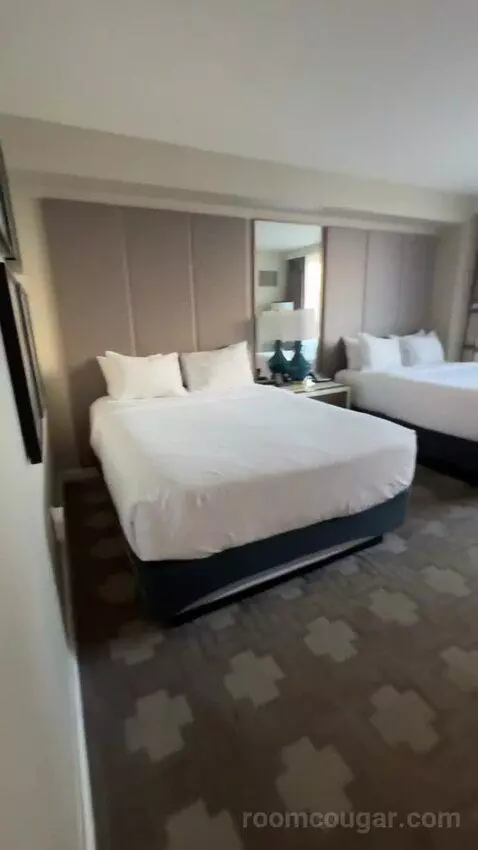 Julius Deluxe Room 2 Queens bed picture #3