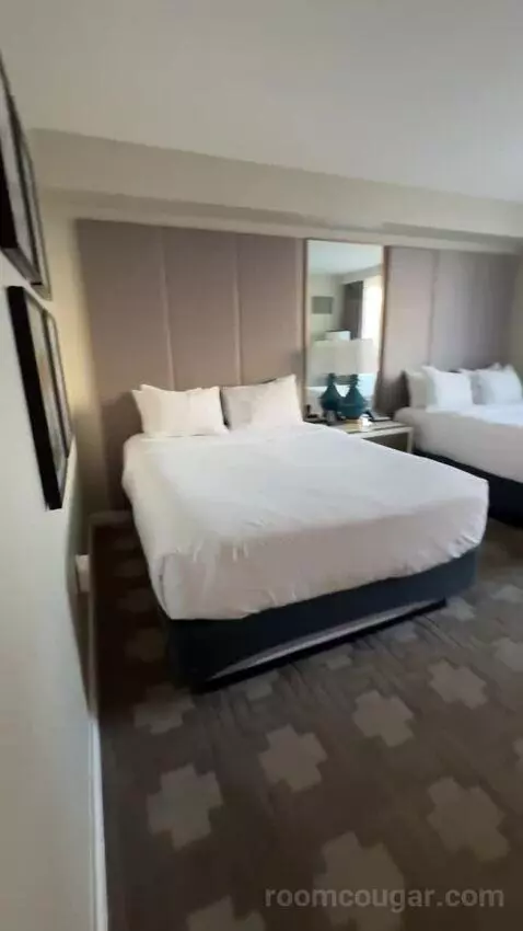 Julius Deluxe Room 2 Queens bed picture #4