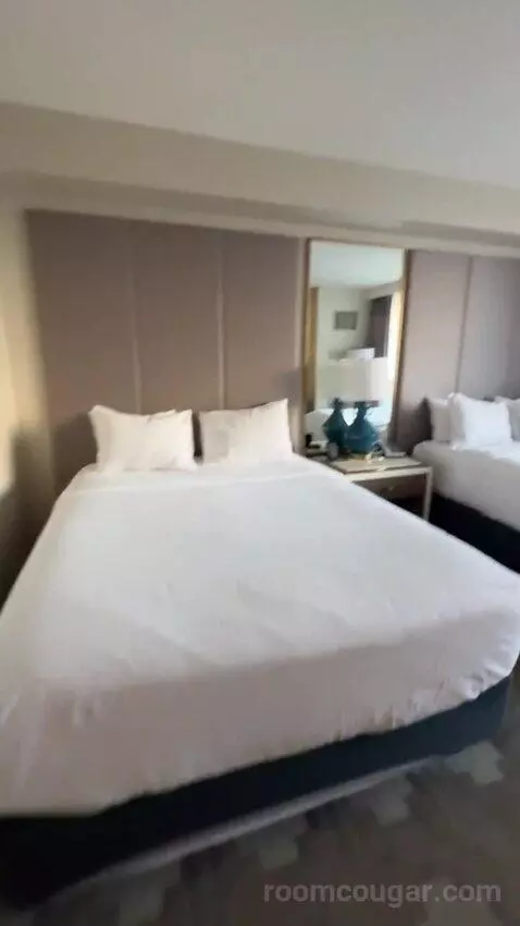 Julius Deluxe Room 2 Queens bed picture #5