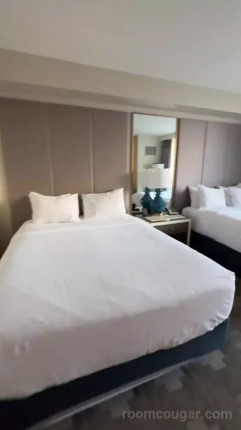 Julius Deluxe Room 2 Queens bed picture #6