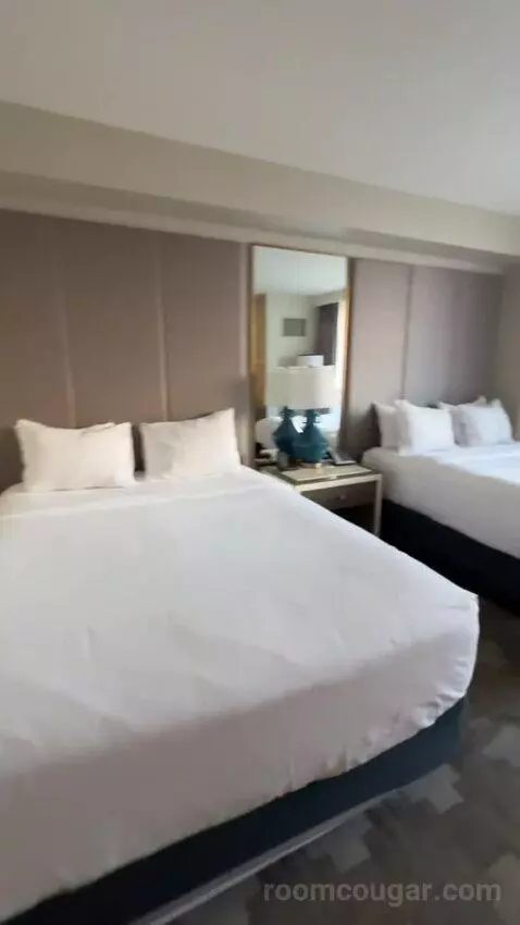 Julius Deluxe Room 2 Queens bed picture #7