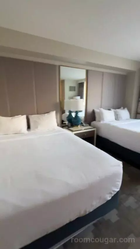 Julius Deluxe Room 2 Queens bed picture #8