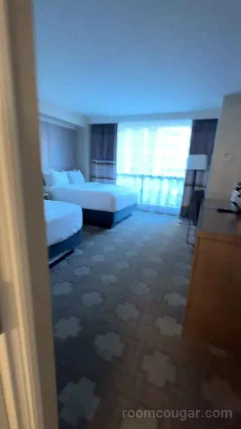 Julius Deluxe Room 2 Queens picture #10