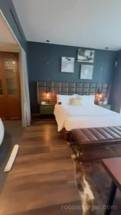 Serenity Suite with 1 King Bed picture #11