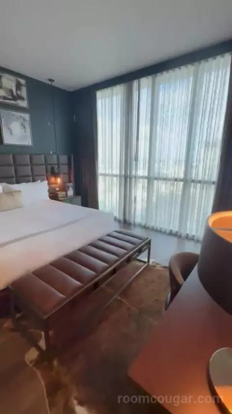 Serenity Suite with 1 King Bed picture #12