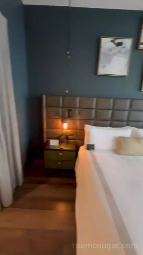 Serenity Suite with 1 King Bed picture #15