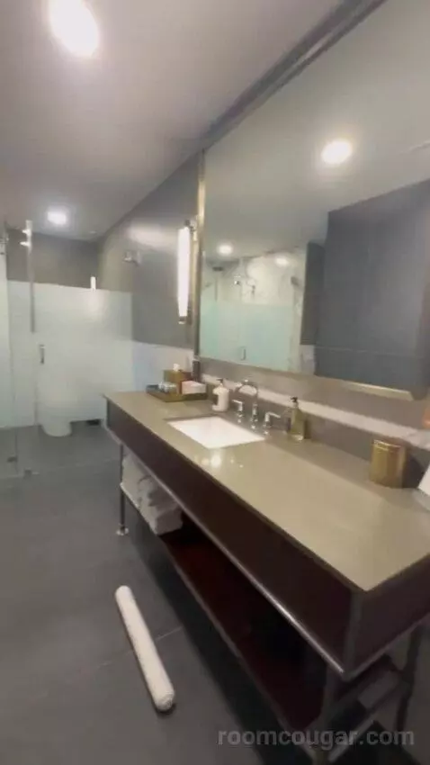 Serenity Suite with 1 King Bed bathroom picture #5