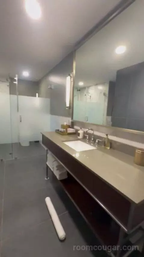 Serenity Suite with 1 King Bed bathroom picture #6