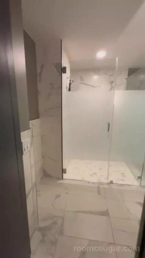 King Studio Suite bathroom picture #1