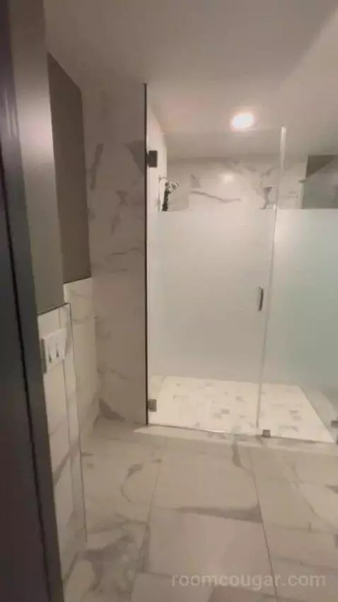 King Studio Suite bathroom picture #2