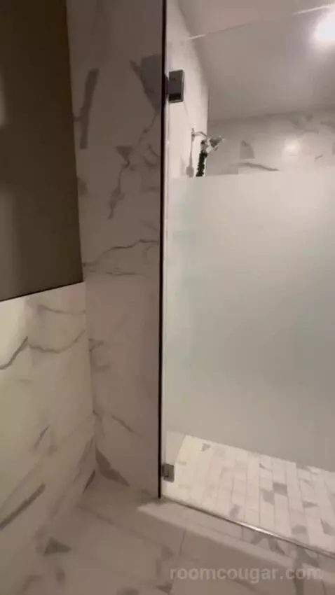 King Studio Suite bathroom picture #3