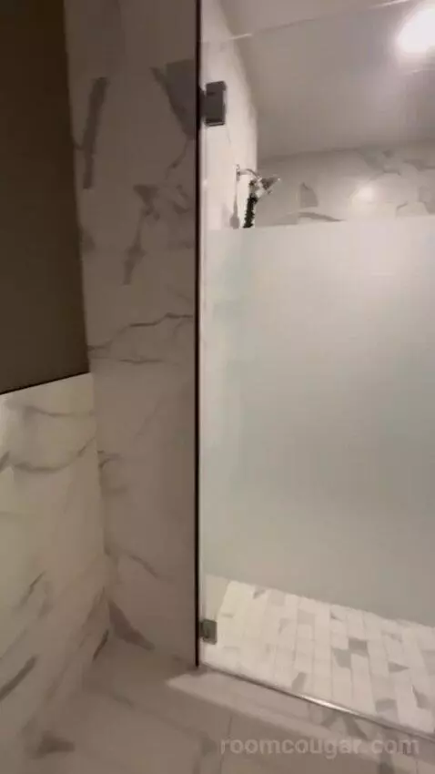 King Studio Suite bathroom picture #4