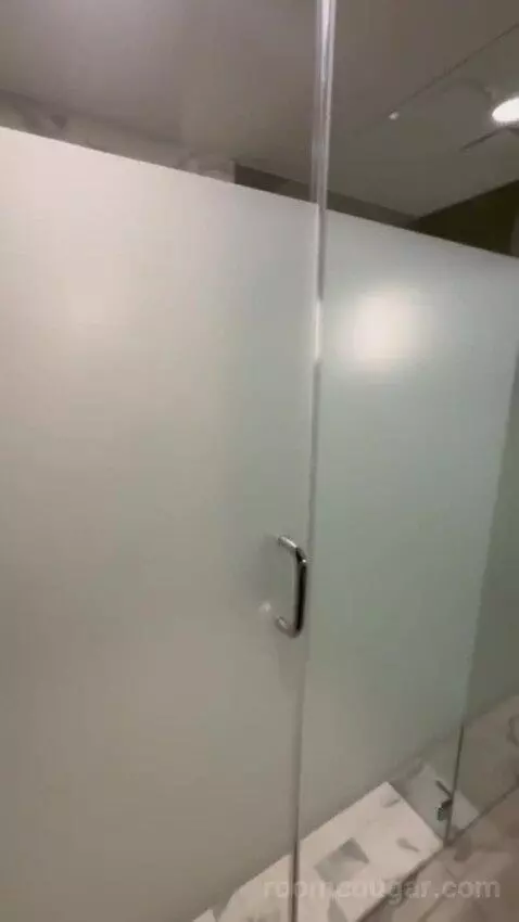 King Studio Suite bathroom picture #5