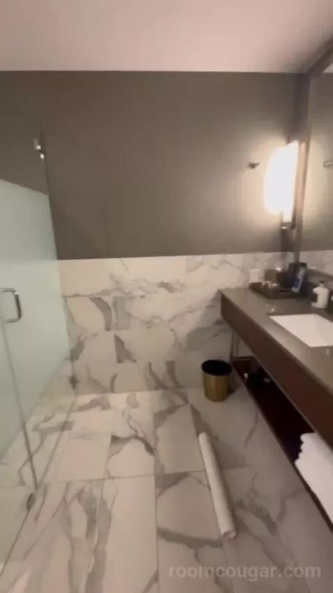 King Studio Suite bathroom picture #7