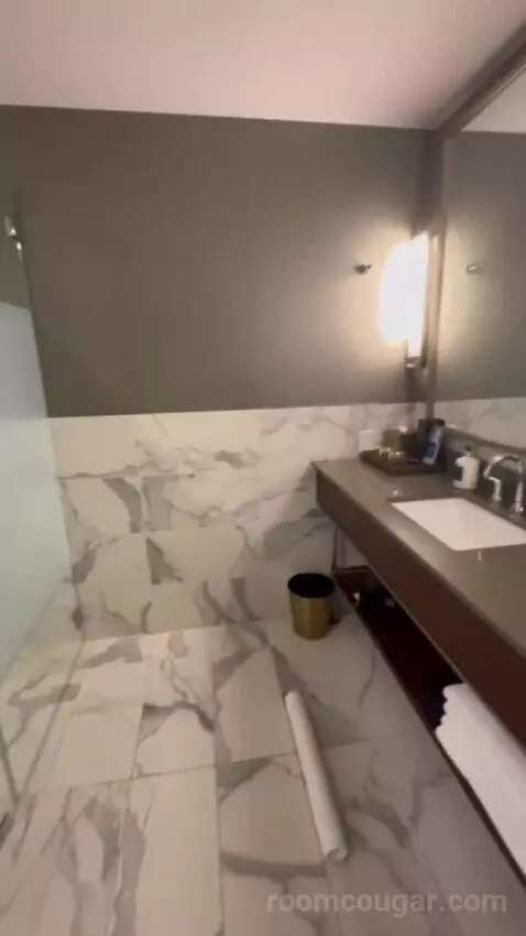 King Studio Suite bathroom picture #8