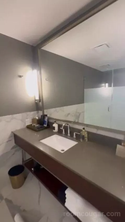 King Studio Suite bathroom picture #9