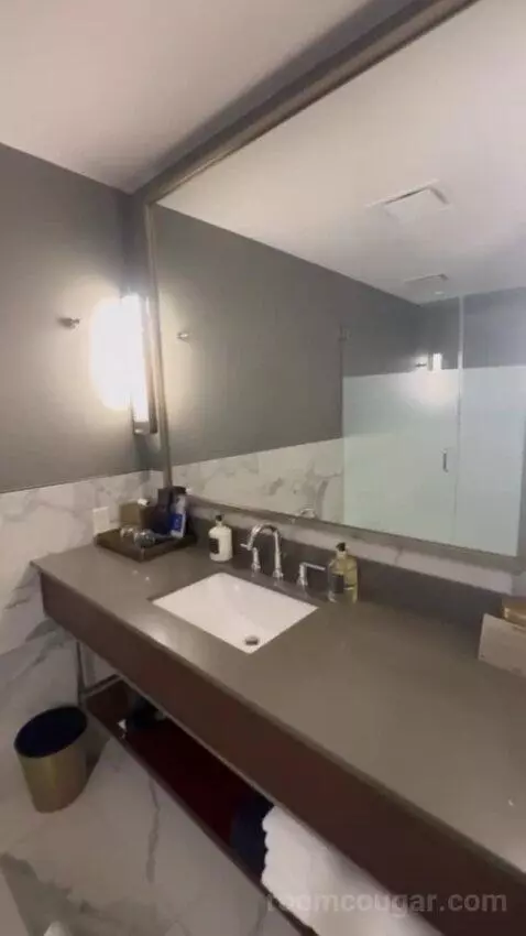 King Studio Suite bathroom picture #10