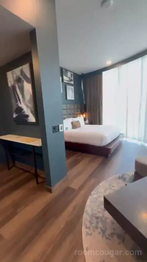 King Studio Suite bed picture #1