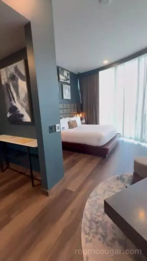 King Studio Suite bed picture #2