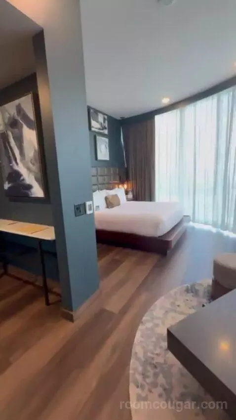 King Studio Suite bed picture #3