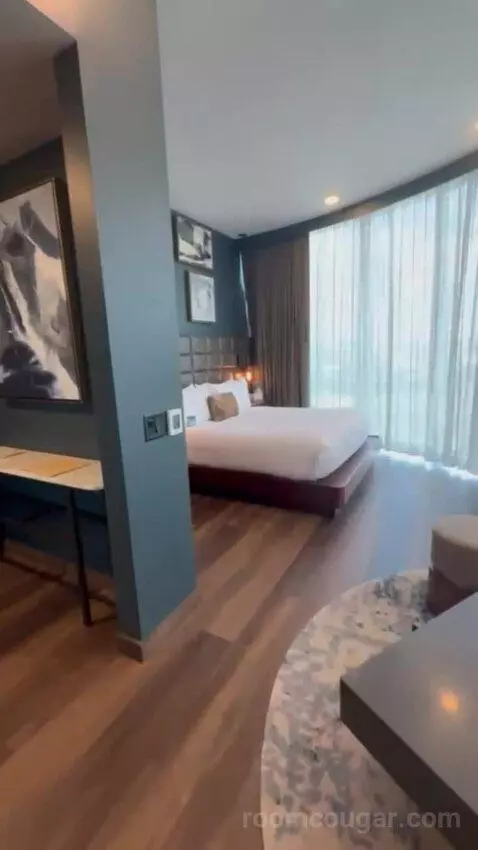 King Studio Suite bed picture #4