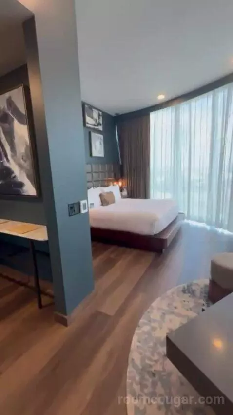 King Studio Suite bed picture #5